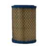 Air Filter AF25550