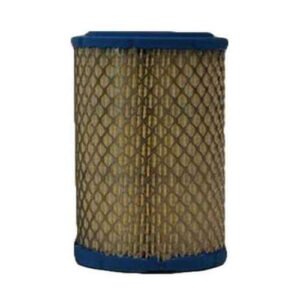 AF25550__10366 Air Filter AF25550