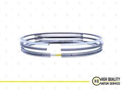 PISTON RINGS LPW 750-13120